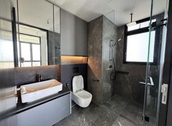 Irwell Hill Residences (D9), Apartment #452633941